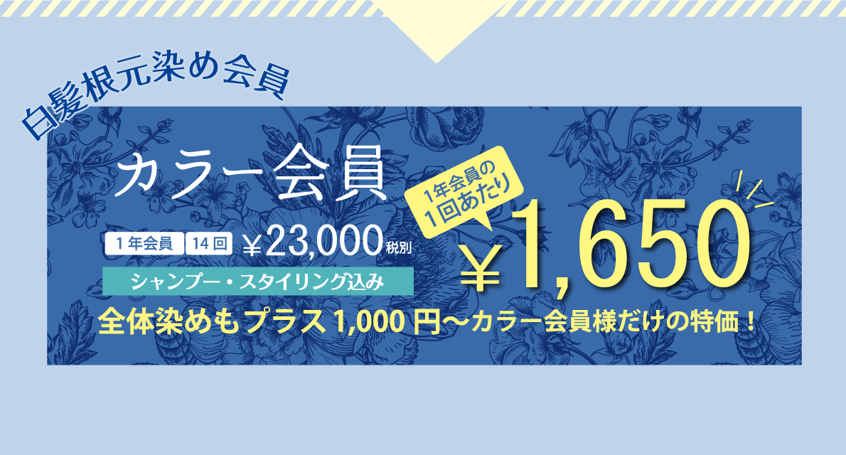 白髪根元染め会員 カラー会員 1年会員の1回あたり ￥1,650 | 1年会員14回 ￥23,000税別 | シャンプー・スタイリング込み 全体染めもプラス1,000円〜 カラー会員様だけの特価！