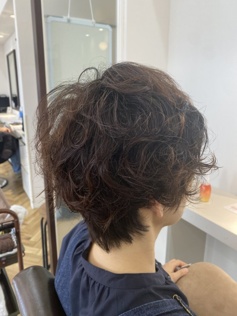 ニュース