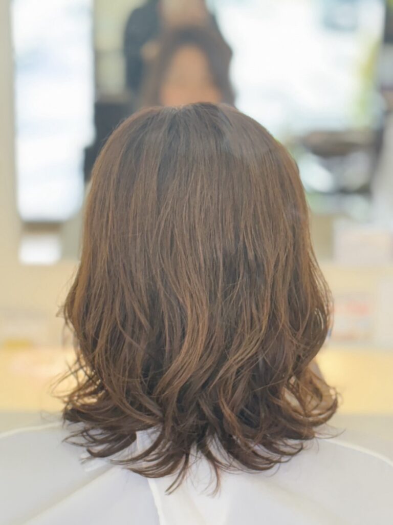 ニュース