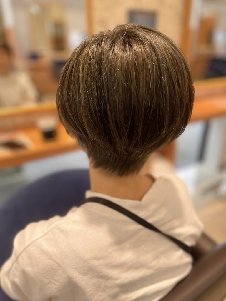 ニュース