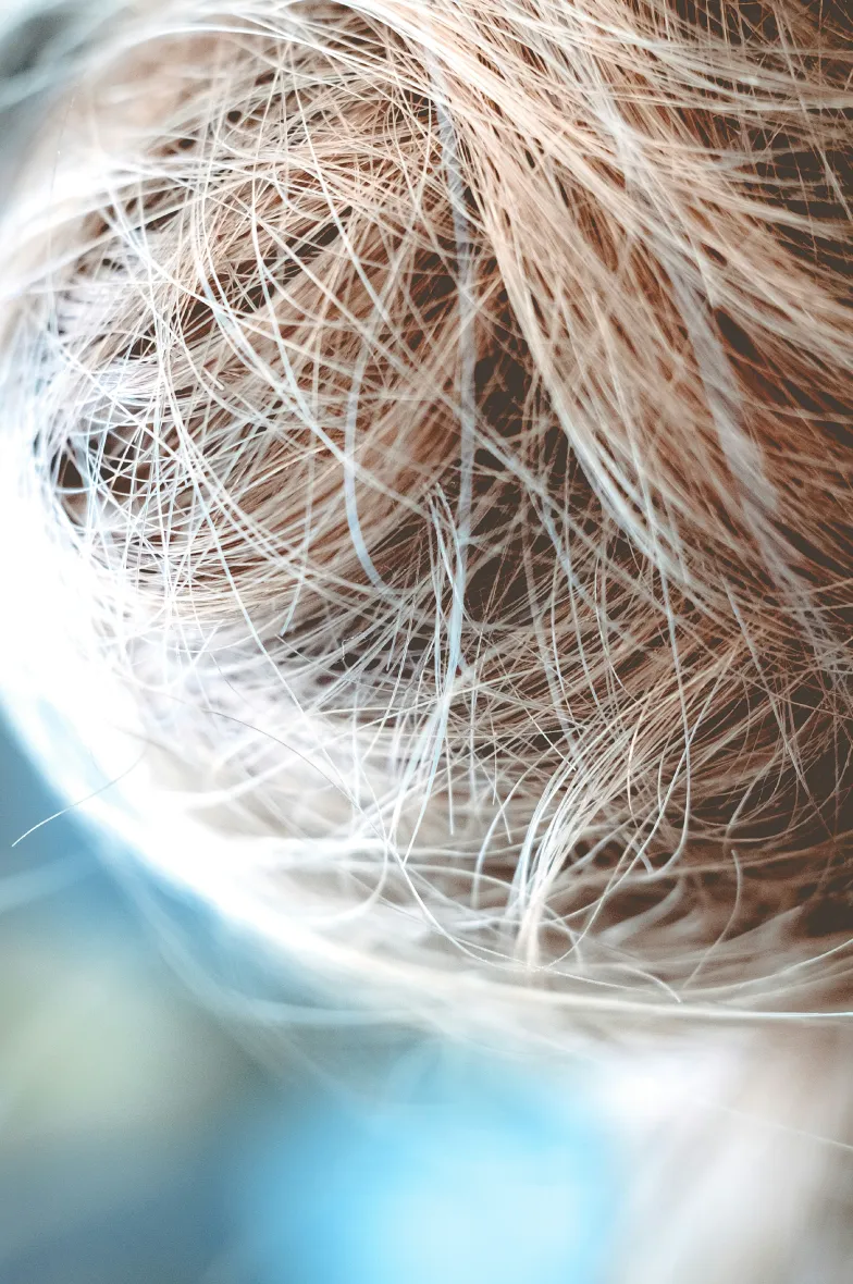 ダメージ毛を芯から補修する極上トリートメント