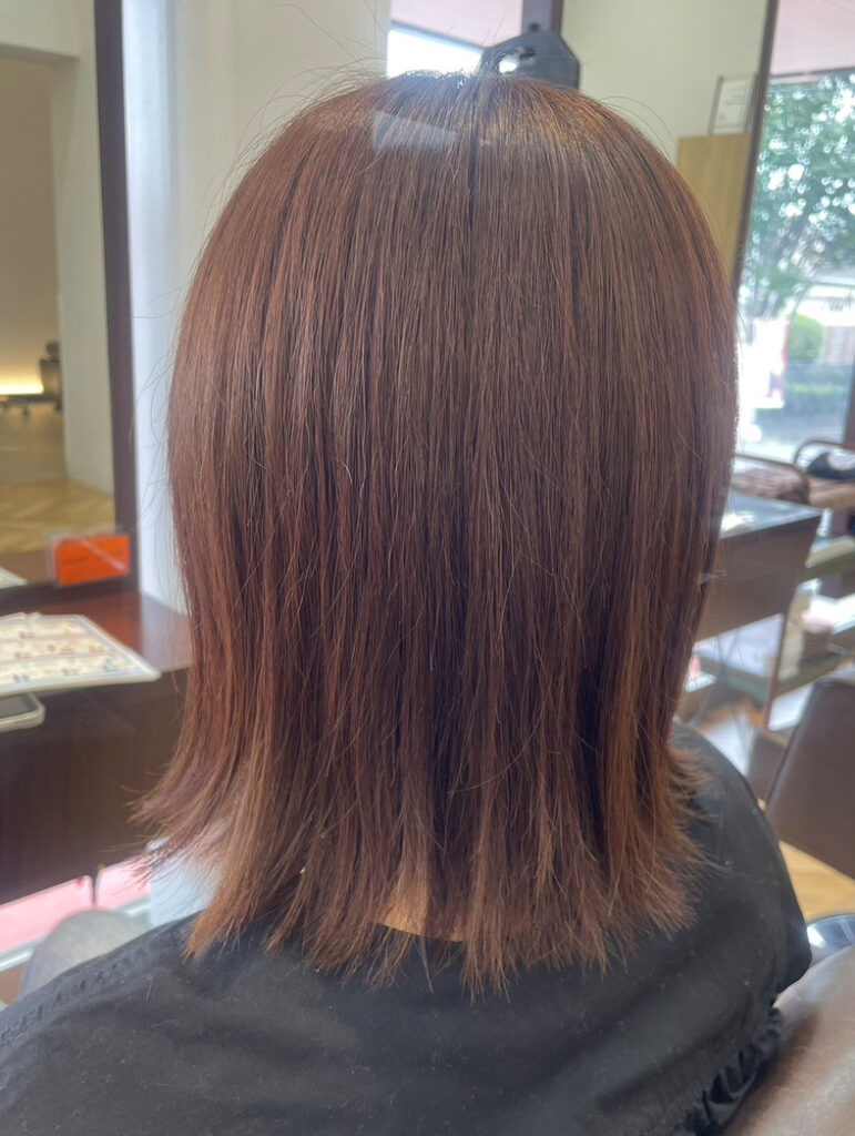 マカロンカラー　カシスショコラ