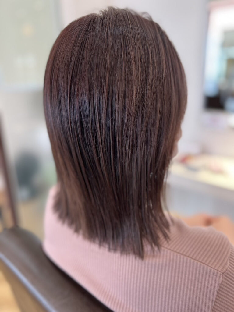 マカロンカラー　カシスショコラ