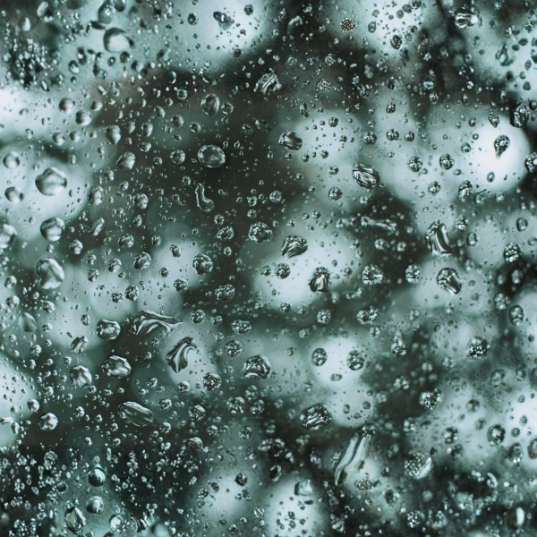 湿気で広がるのは、くせだけじゃない。ダメージ毛のまとまり対策